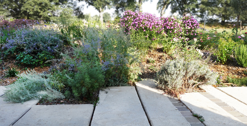 image pour l'article : Amenagement paysager d'un espace agricole. Vougy