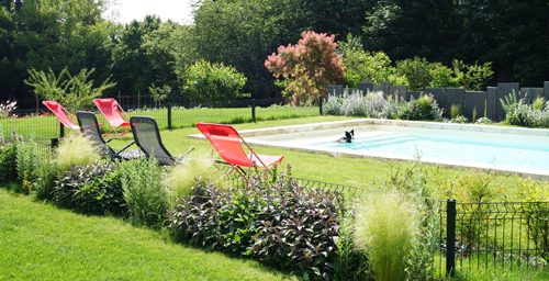 image pour l'article : Création d'un jardin, intégration de la piscine. Saint-Cyr-au-Mont-d'Or