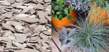 Choix des plantes, du mobilier et des matériaux pour votre jardin